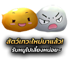 สัตว์เทวะใหม่มาแล้ว รับหนูไปเลี้ยงหน่อย~