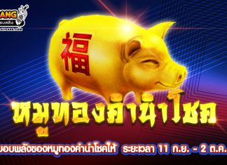 กิจกรรม Golden Pig หมูทองคำนำโชค!