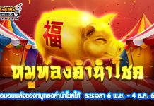 กิจกรรม Golden Pig หมูทองคำนำโชค!