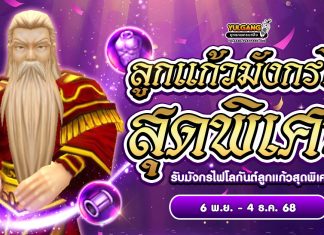 กิจกรรมลูกแก้วมังกรไฟสุดพิเศษ