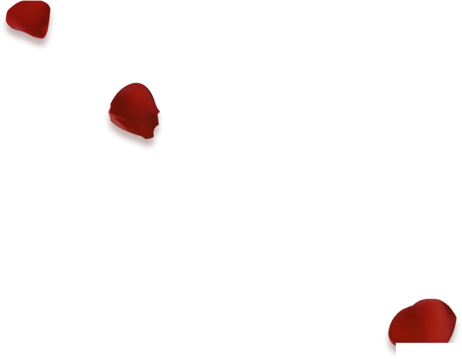 กุหลาบตกแต่ง Yulgang